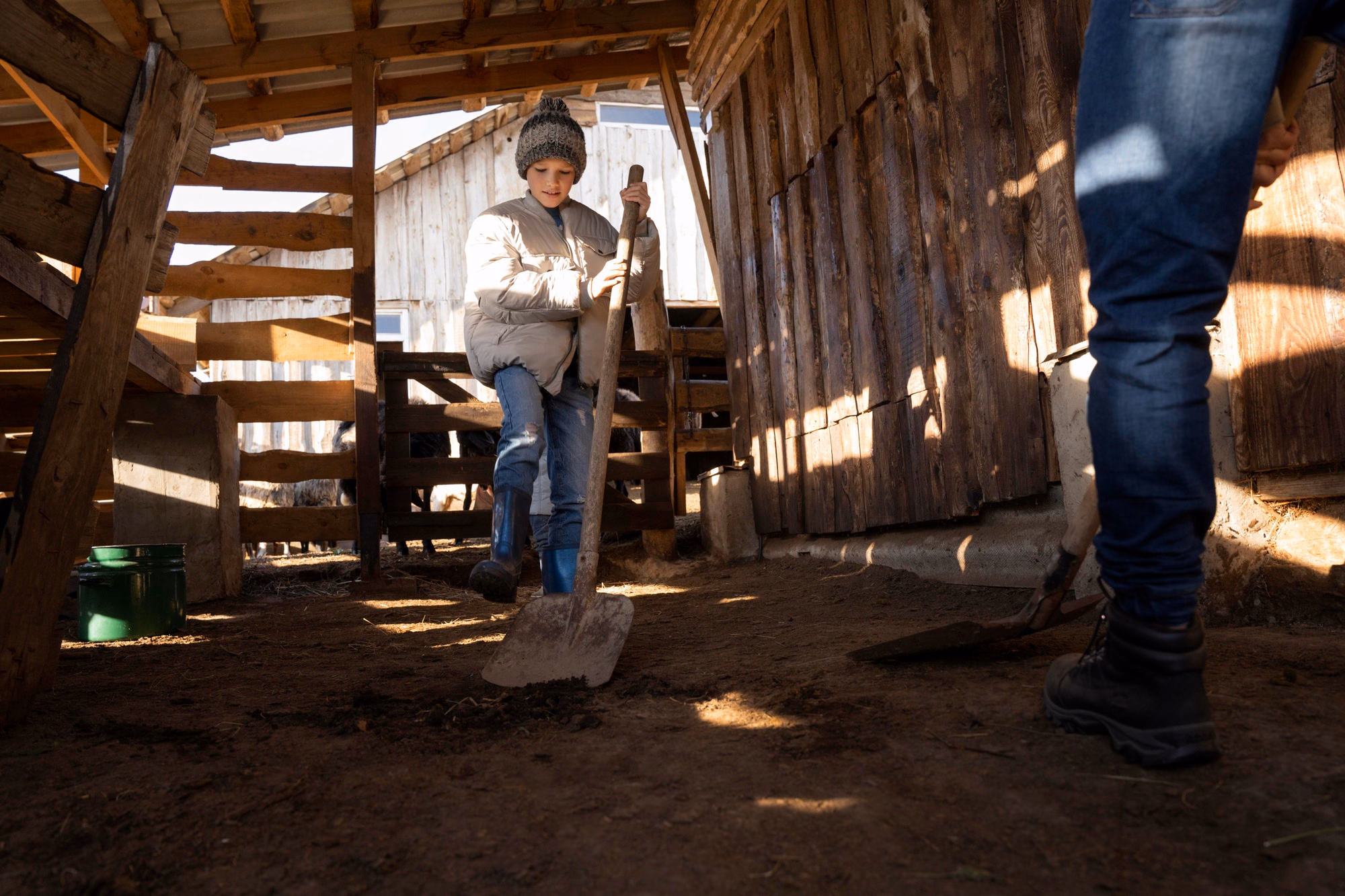 Child wearing winter clothes and boots helping with farm chores inside a wooden barndominium barn, using a shovel on a sunny rural day.